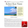 KKNNewsletter20140811