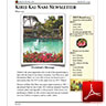 KKNNewsletter20130301